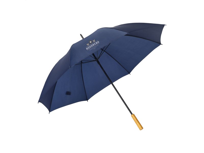 BlueStorm RCS RPET paraplu 30 inch