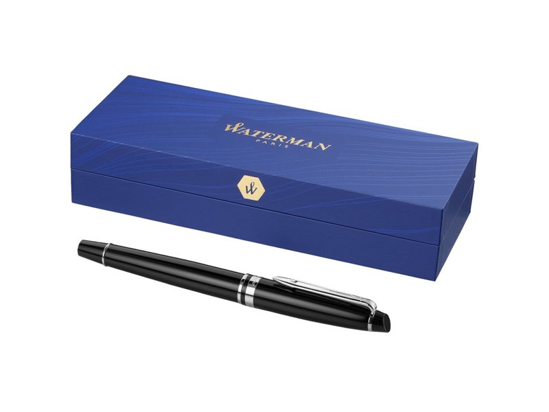 Waterman Expert vulpen