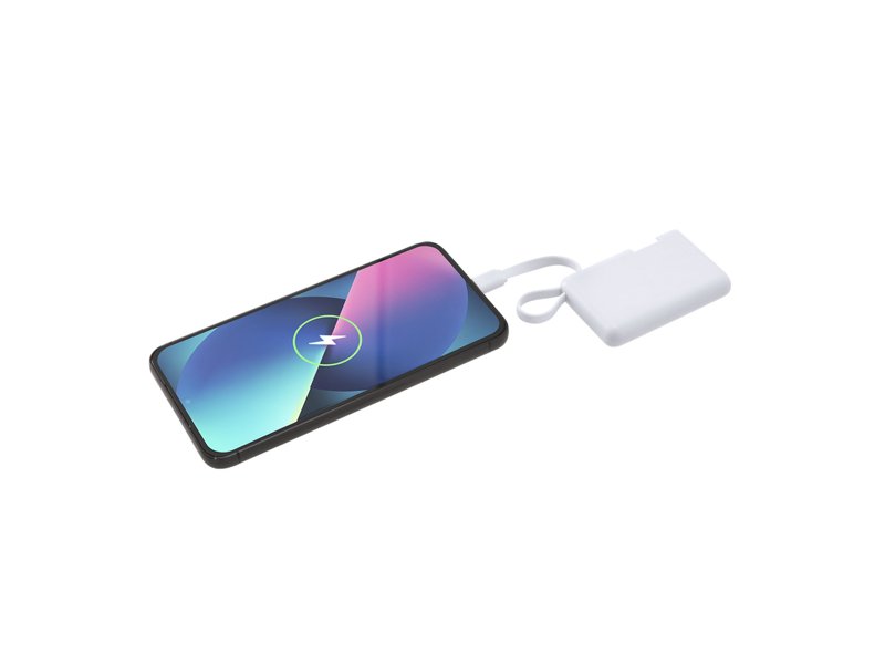 Power Bank Brandin