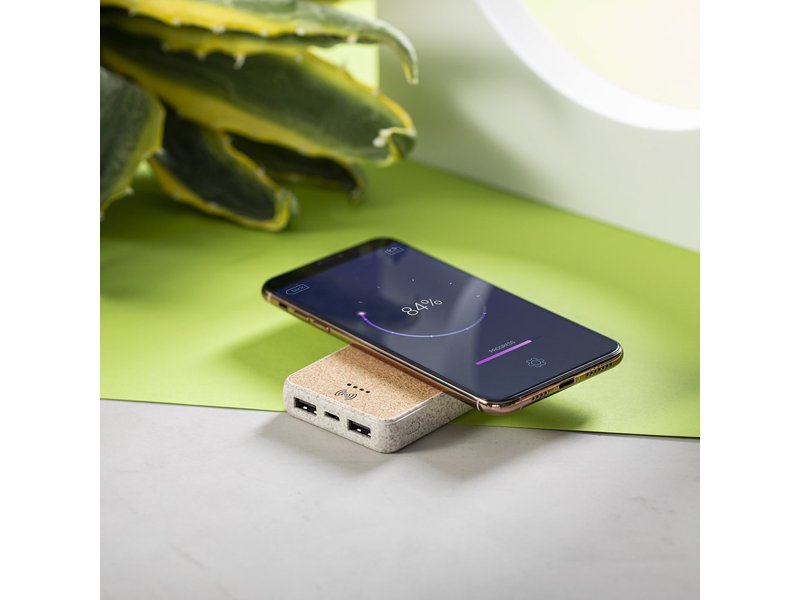 Compacte Merak Power Bank 5.000 mAh bedrukt met logo eco relatiegeschenk