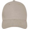 Davis 6 panel cap