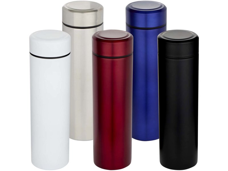 Taylor 450 ml dubbelwandige roestvrijstalen fles met theefilter