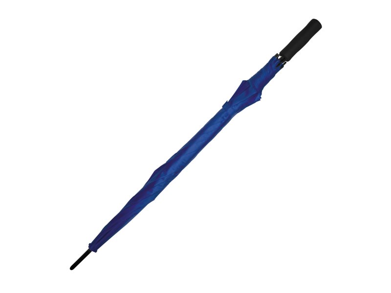 Grote paraplu Suedereich