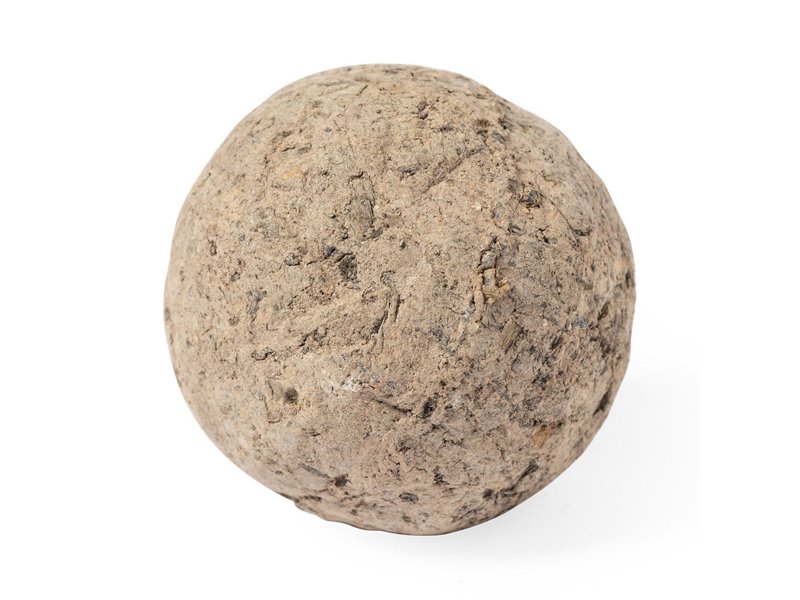 Bonbon Zaden Mussox Bonbon Zaden Mussox