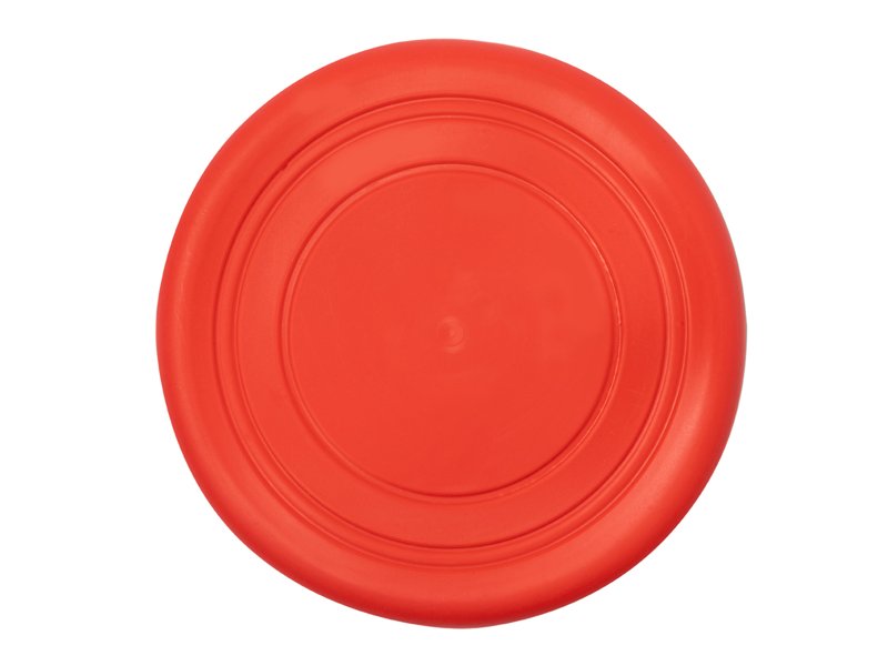 Frisbie Girud