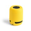 Luidspreker Braiss