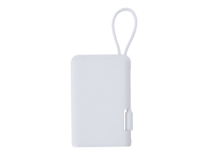 Power Bank Brandin