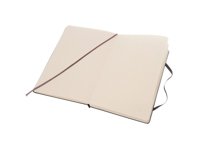 Moleskine Classic L hardcover notitieboek - gestippeld