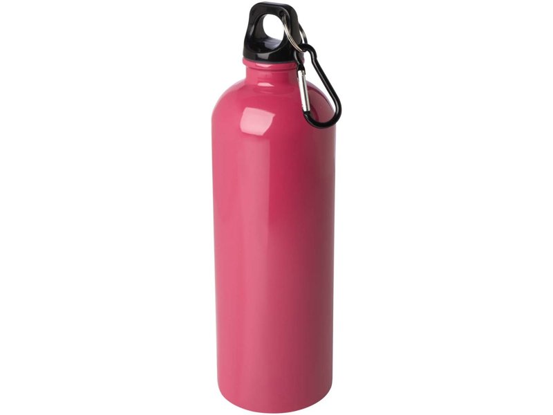 Oregon 750 ml RCS gecertificeerde enkelwandige roestvrijstalen waterfles met karabijnhaak
