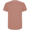 Stafford herenshirt met korte mouwen Stafford herenshirt met korte mouwen