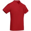 Prince poloshirt met korte mouwen Prince poloshirt met korte mouwen