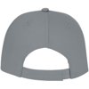 Ares 6 panel cap