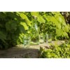 Sevilla Gerecyclede Waterfles 1,2 L Sevilla Gerecyclede Waterfles 1,2 L