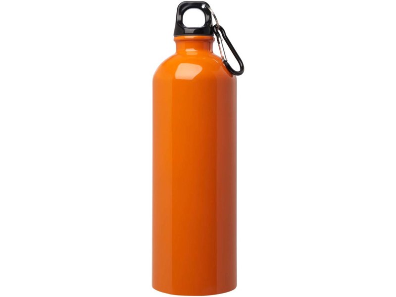 Oregon 750 ml RCS gecertificeerde enkelwandige roestvrijstalen waterfles met karabijnhaak