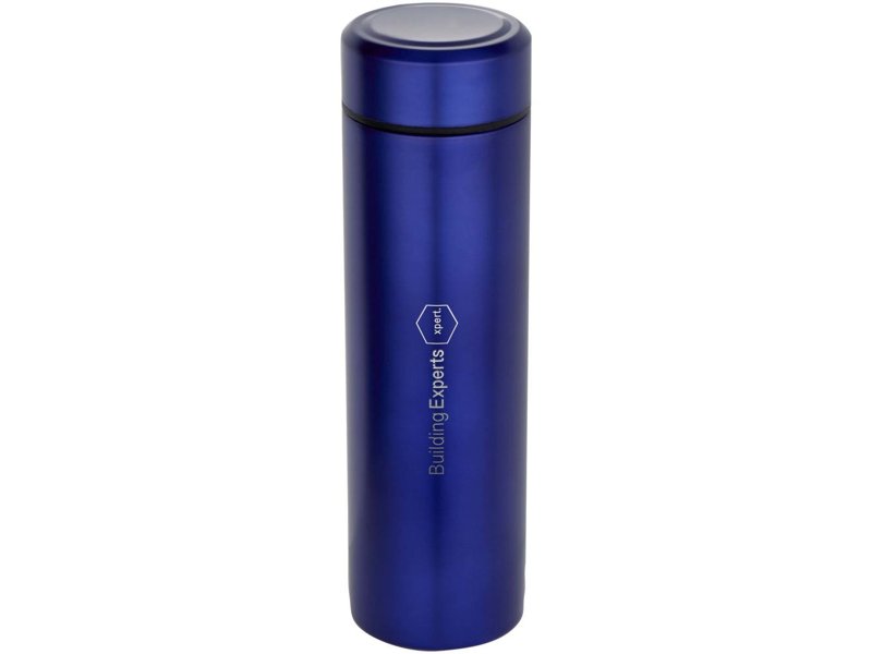 Taylor 450 ml dubbelwandige roestvrijstalen fles met theefilter