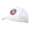 Pet Clipak Pet Clipak