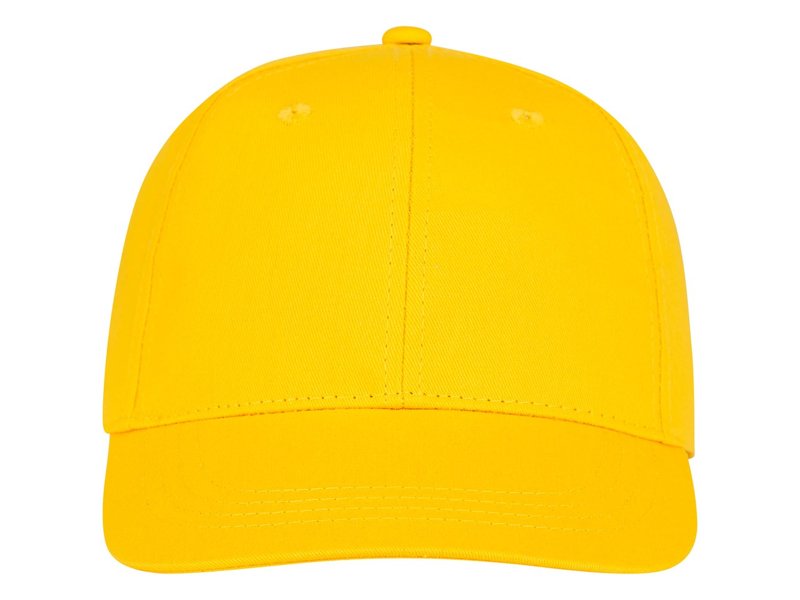 Ares 6 panel cap