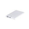 Power Bank Backen