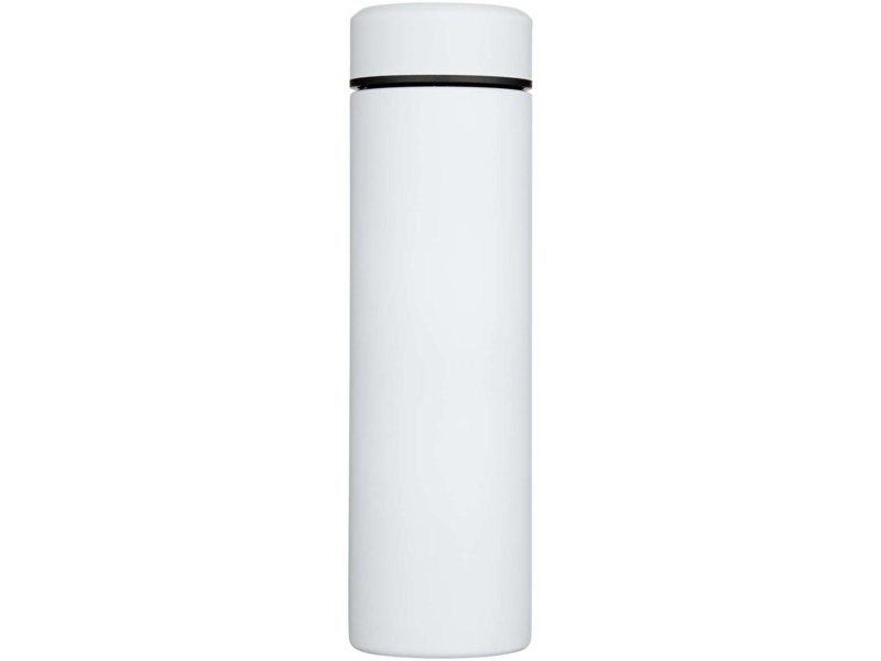 Taylor 450 ml dubbelwandige roestvrijstalen fles met theefilter