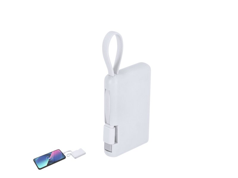Power Bank Brandin