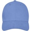 Davis 6 panel cap
