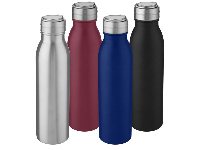 Harper 700 ml roestvrijstalen drinkfles met metalen lus