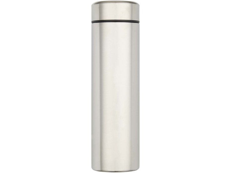 Taylor 450 ml dubbelwandige roestvrijstalen fles met theefilter