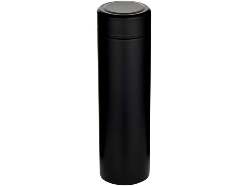 Taylor 450 ml dubbelwandige roestvrijstalen fles met theefilter