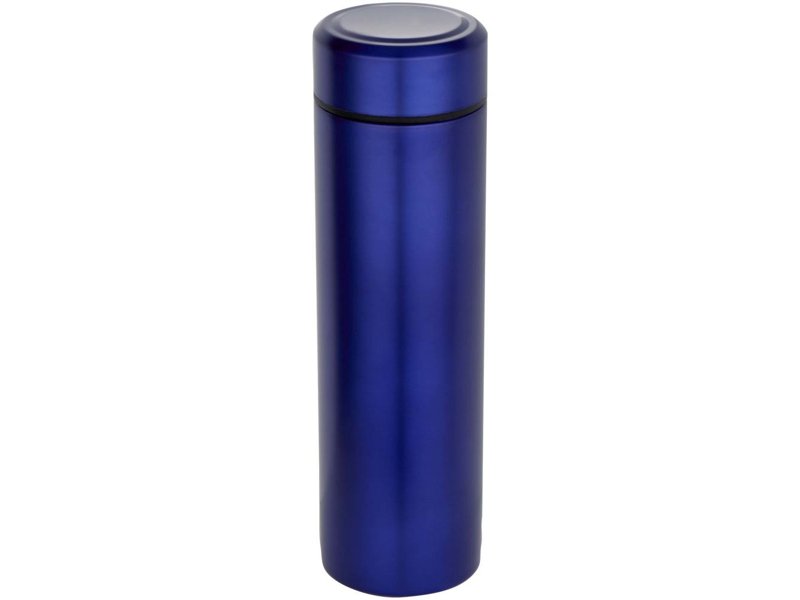 Taylor 450 ml dubbelwandige roestvrijstalen fles met theefilter