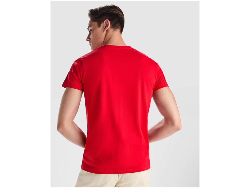 Samoyedo herenshirt met V-hals en korte mouwen Samoyedo herenshirt met V-hals en korte mouwen