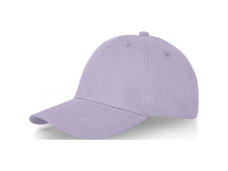 Davis 6 panel cap