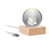 SANTA LIGHT - Kerst LED glas bol