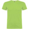 Beagle herenshirt met korte mouwen