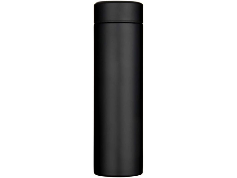 Taylor 450 ml dubbelwandige roestvrijstalen fles met theefilter