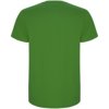 Stafford herenshirt met korte mouwen Stafford herenshirt met korte mouwen