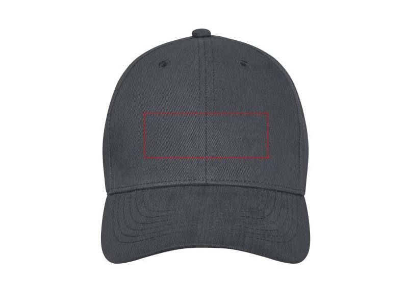 Davis 6 panel cap