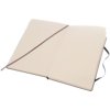 Moleskine Classic L hardcover notitieboek - gestippeld