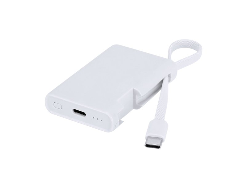 Power Bank Brandin