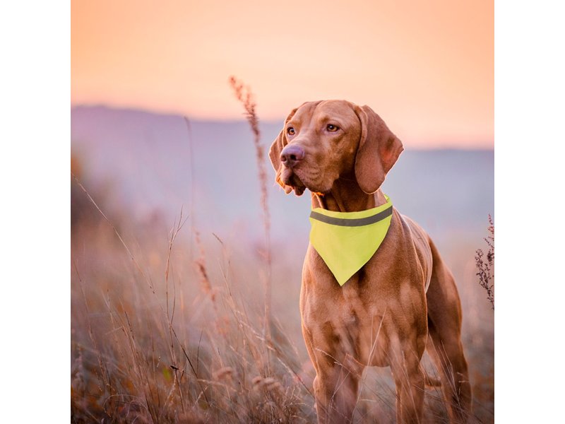 Dieren Halsdoek-Halsband Bipols Dieren Halsdoek-Halsband Bipols