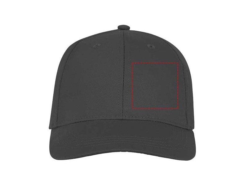 Ares 6 panel cap