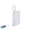 Power Bank Brandin