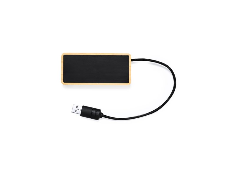 USB Hub Ginger USB Hub Ginger