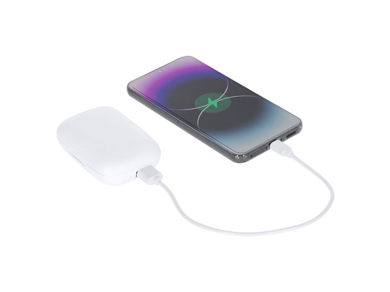 Power Bank Oordopjes Haxel
