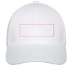 Davis 6 panel cap