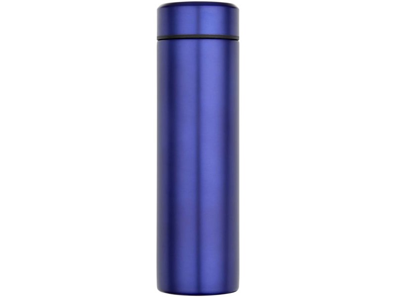 Taylor 450 ml dubbelwandige roestvrijstalen fles met theefilter