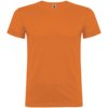 Beagle herenshirt met korte mouwen