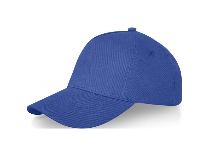 Doyle 5 panel cap