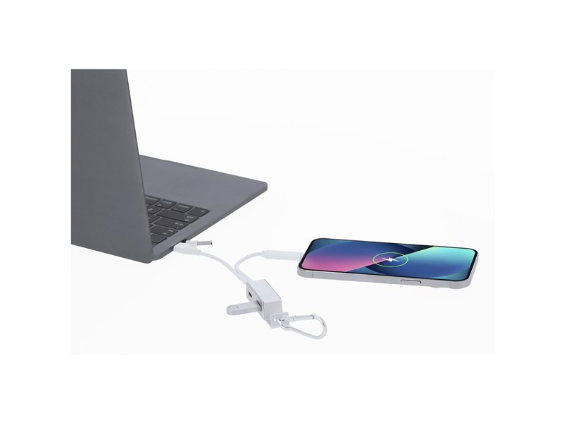 Oplader USB Hub Leony Oplader USB Hub Leony