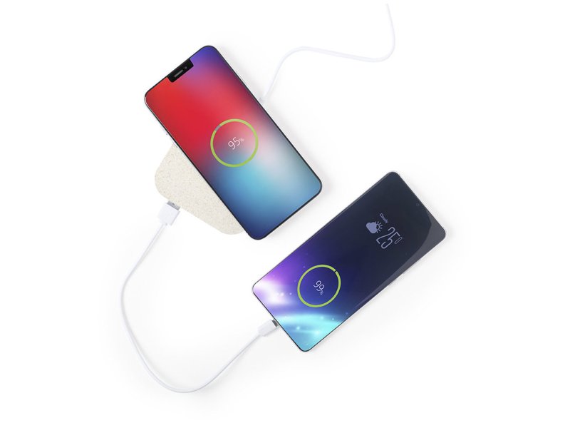 Oplader Riens 2.100 mAh bedrukken | Jouw relatiegeschenk & promotieartikel Oplader Riens 2.100 mAh bedrukken | Jouw relatiegeschenk & promotieartikel