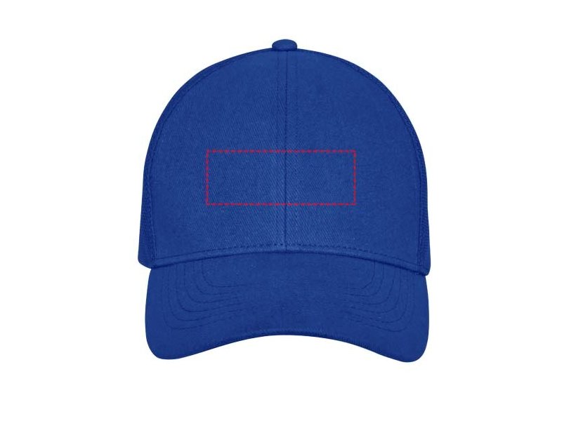 Drake 6 panel trucker-cap